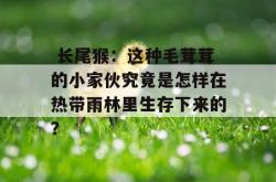  长尾猴：这种毛茸茸的小家伙究竟是怎样在热带雨林里生存下来的？