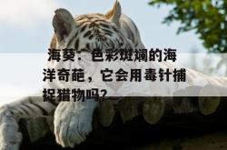  海葵：色彩斑斓的海洋奇葩，它会用毒针捕捉猎物吗？