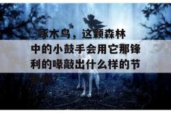   啄木鸟，这颗森林中的小鼓手会用它那锋利的喙敲出什么样的节奏呢？